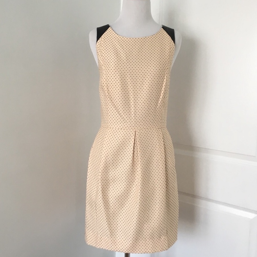 Polka Dot Kensie Dress